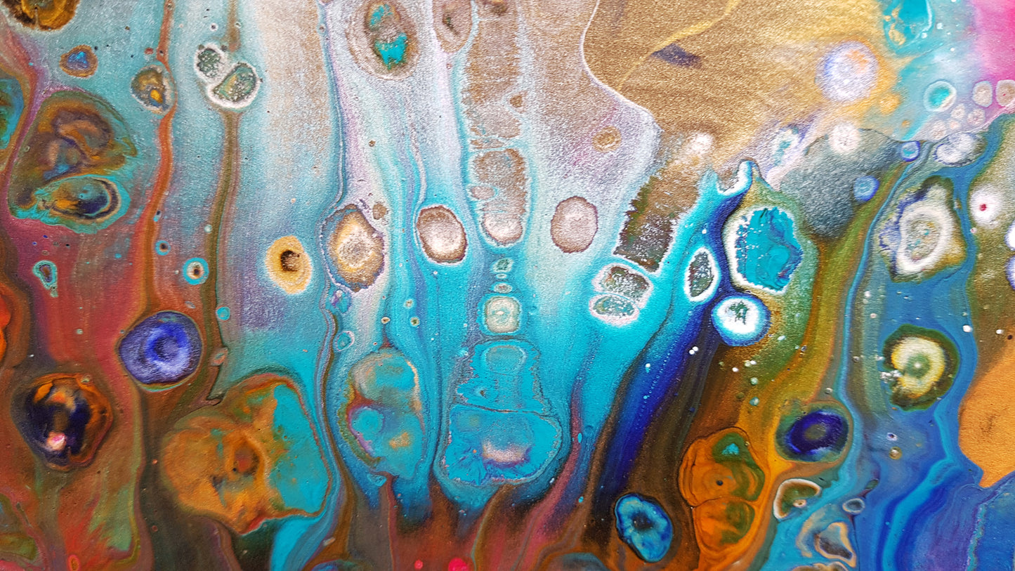 Rainbow Reef | 30 x 24 IN