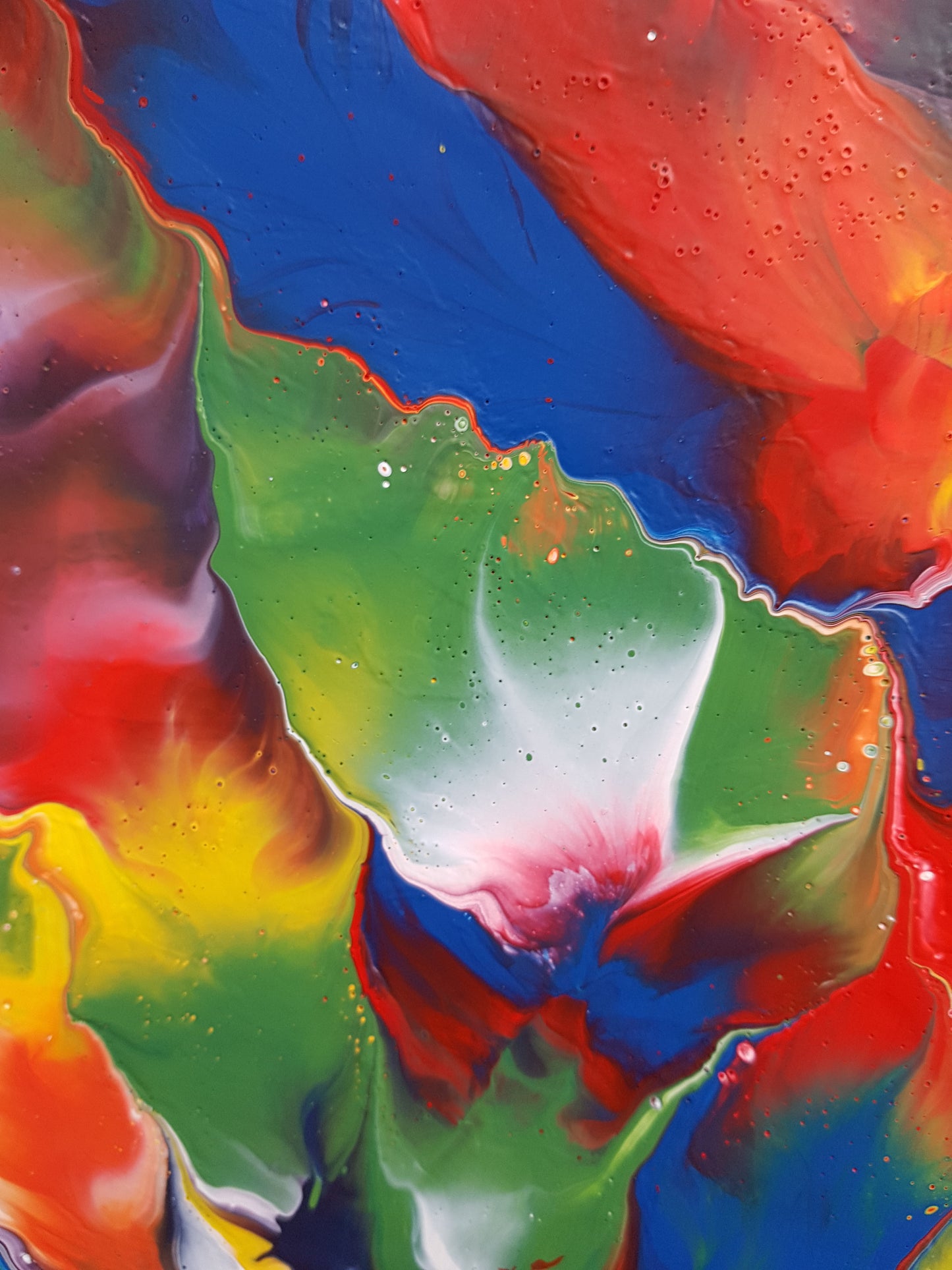 Euphoria | 48 x 32 IN