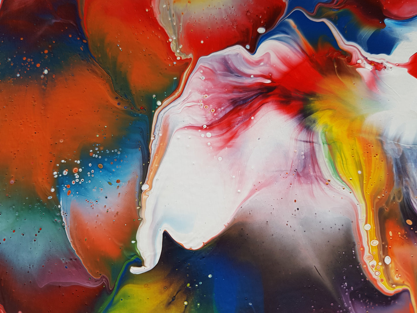 Euphoria | 48 x 32 IN